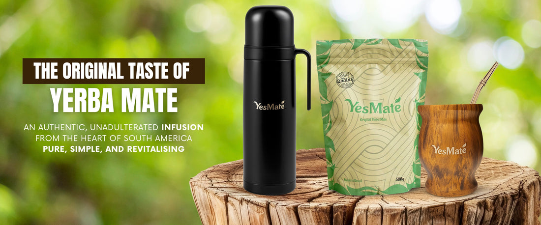 Yerba Mate 101: The UK Beginner’s Guide to Smooth Energy