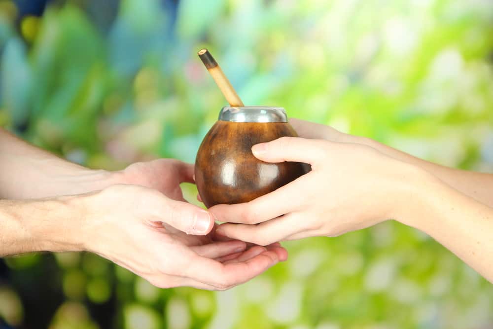 Discovering the Roots of Yerba Mate: A Journey Through the History and Culture of Argentina's Beloved Drink - YesMate