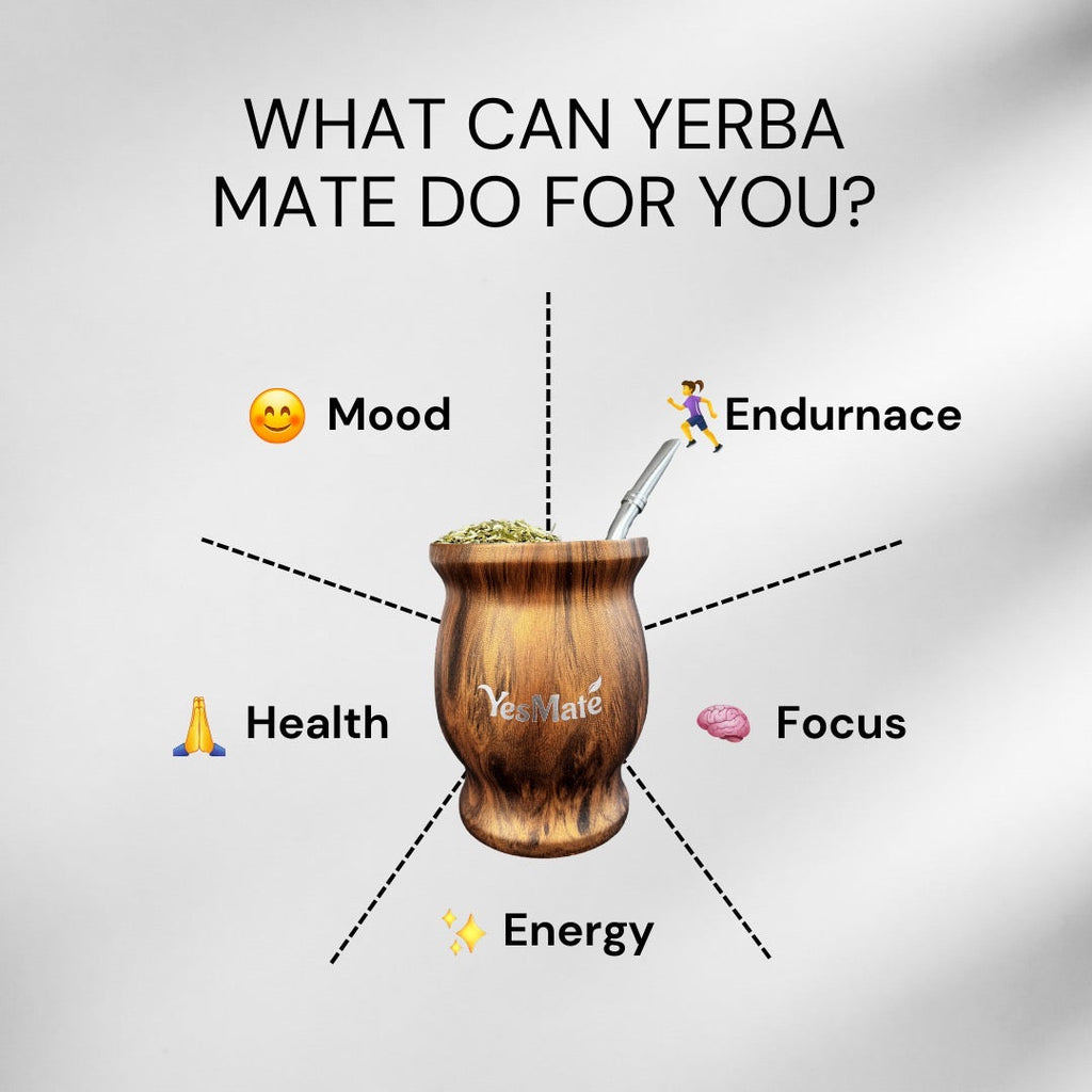 YesMate Yerba Mate Kit (Gourd + Bombilla) YesMate