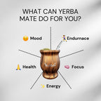 YesMate Yerba Mate Kit (Gourd + Bombilla) YesMate